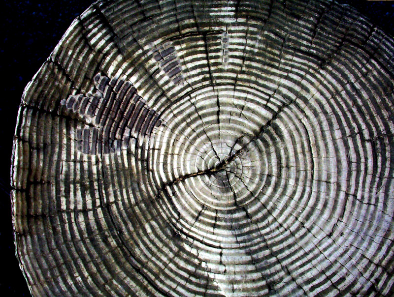 Photography by Redstar for DesignCrowd (Community Contests) | Design #9138518