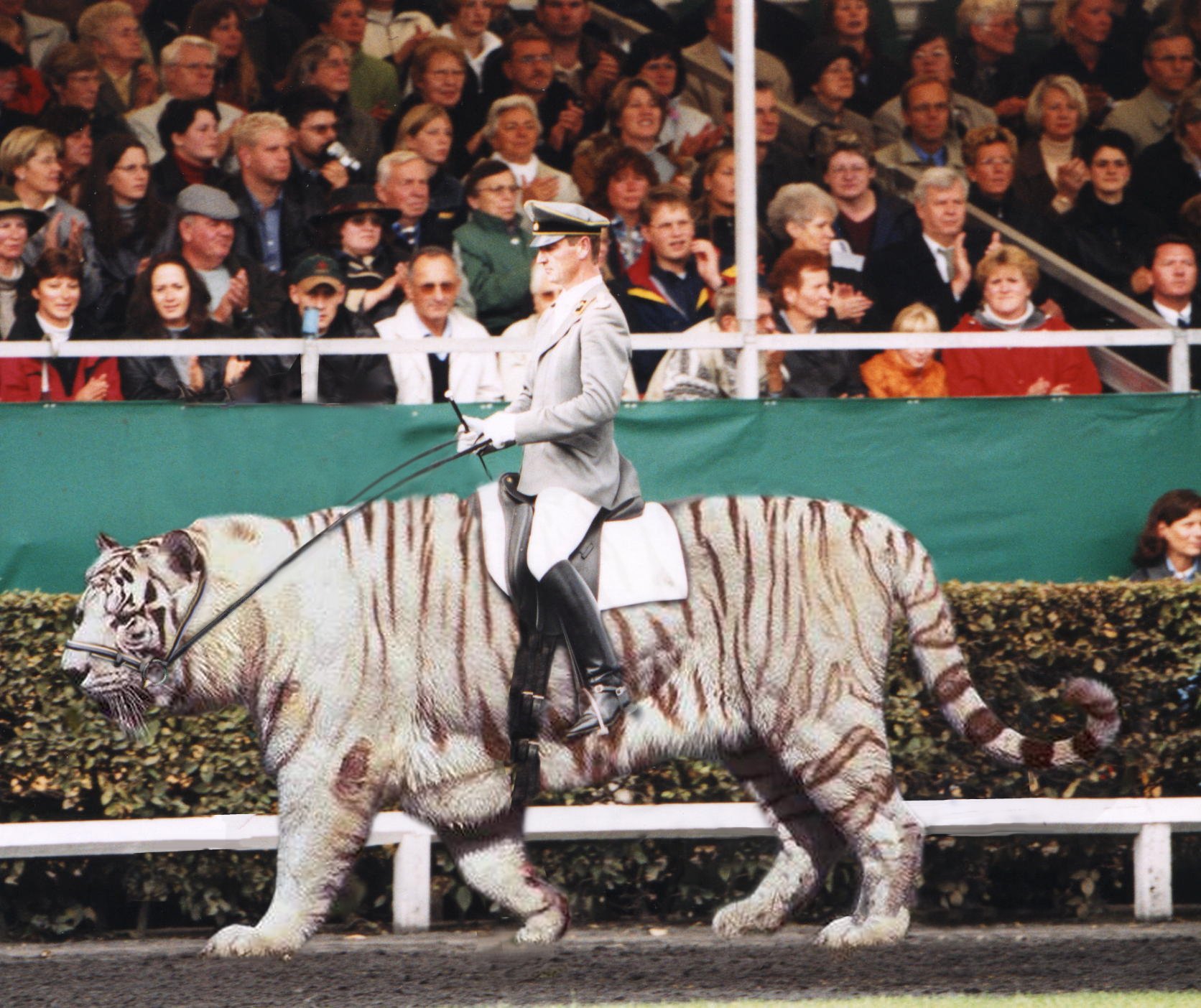 Photoshop-Design von Garsaelon für DesignCrowd (Community Contests) | Design #9132597