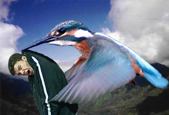 Design Photoshop par JK pour DesignCrowd (Community Contests) | Design #9132840