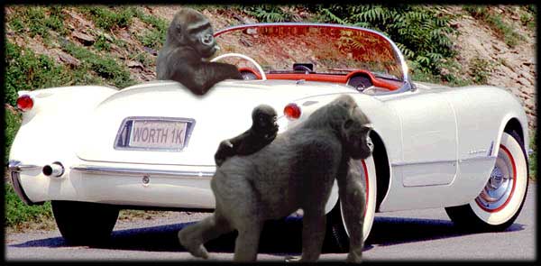 Photoshop Design by BobbyOKay for DesignCrowd (Community Contests) | Design #9138426