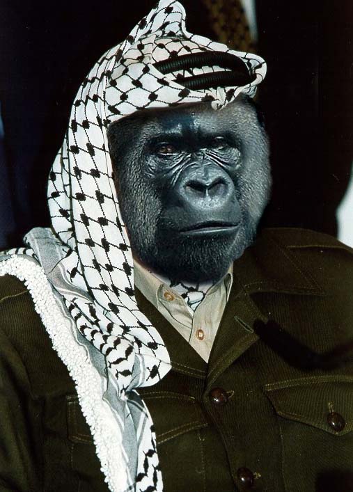 Photoshop Design by fippsbozz for DesignCrowd (Community Contests) | Design #9138418