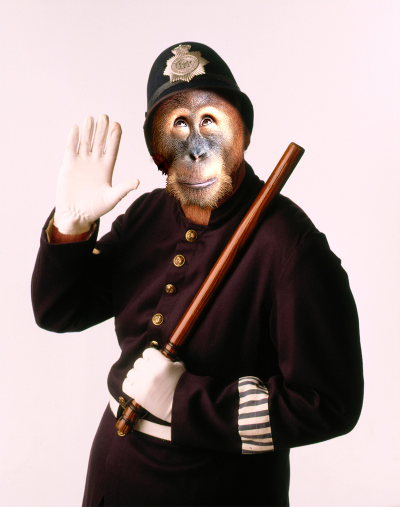 Photoshop Design by RRoland for DesignCrowd (Community Contests) | Design #9138445