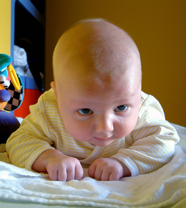 Fotografía por Fenrir para DesignCrowd (Community Contests) | Diseño #9120845