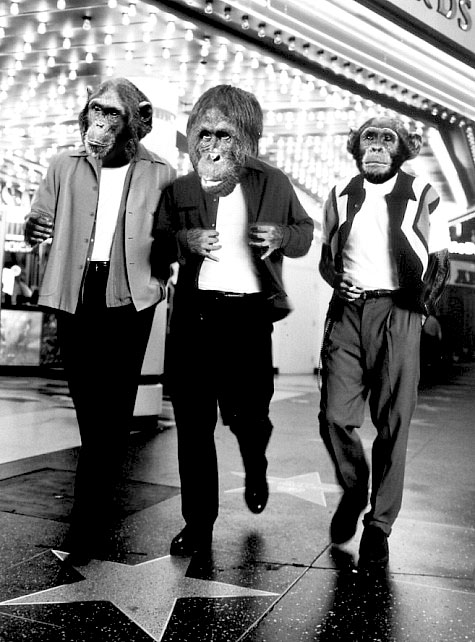 Photoshop Design by Aporkalypse for DesignCrowd (Community Contests) | Design #9138433