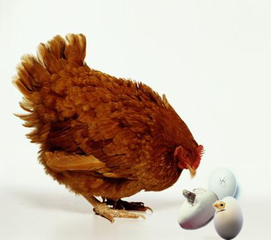 Diseño de Photoshop por swaminathan_BANNED para DesignCrowd (Community Contests) | Diseño #9135879