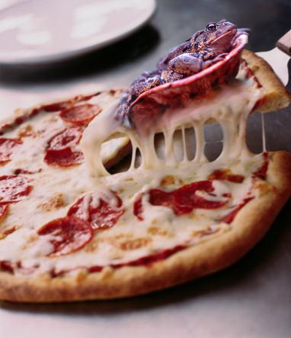 Photoshop Design by mokzha_BANNED for DesignCrowd (Community Contests) | Design #9135866