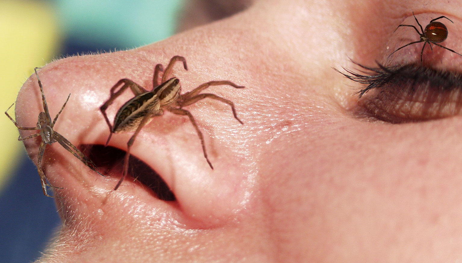 Design Photoshop par sfmsfm pour DesignCrowd (Community Contests) | Design #9135883