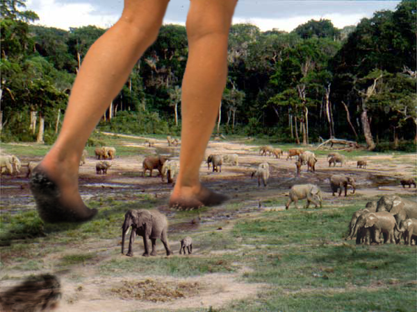 Photoshop Design by blueorb for DesignCrowd (Community Contests) | Design #9132853