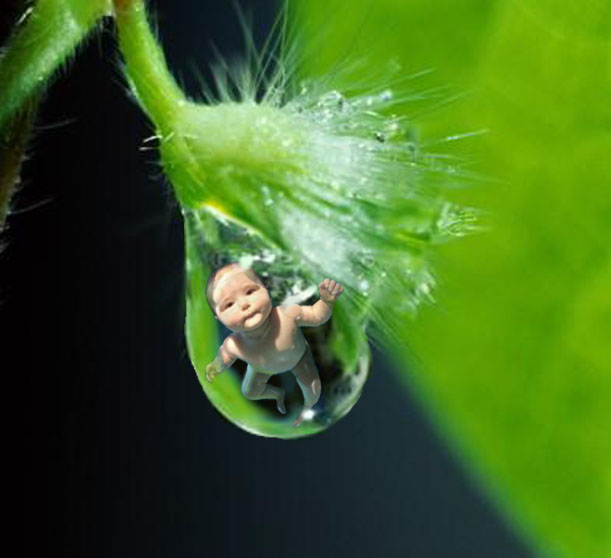 Photoshop Design by JackMack for DesignCrowd (Community Contests) | Design #9132870