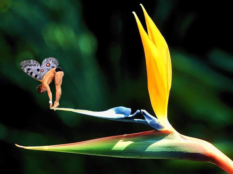 Photoshop Design by ferras for DesignCrowd (Community Contests) | Design #9133016