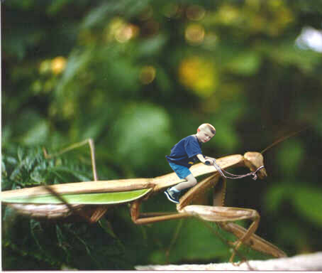 Design Photoshop par bruceleroy pour DesignCrowd (Community Contests) | Design #9132966