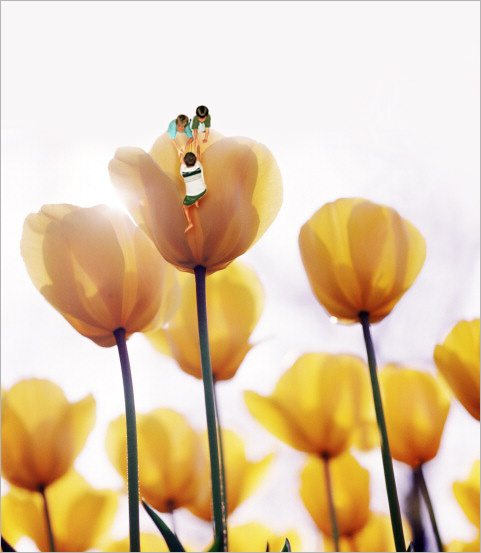 Photoshop Design by dcvarthy for DesignCrowd (Community Contests) | Design #9132994