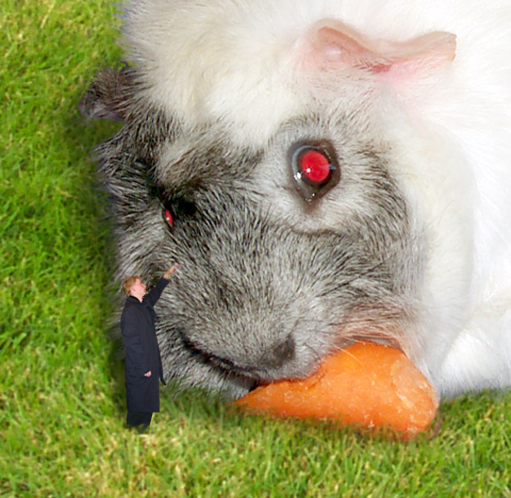 Photoshop Design by LeMolstad for DesignCrowd (Community Contests) | Design #9132919