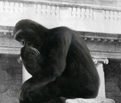 Diseño de Photoshop por LeMolstad para DesignCrowd (Community Contests) | Diseño #9138476