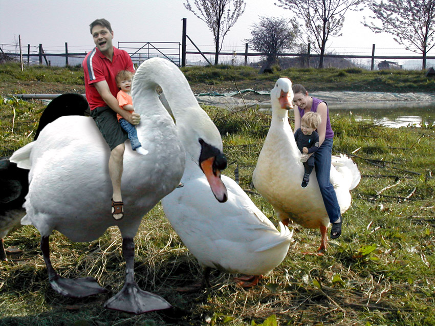 Diseño de Photoshop por Redbull_UK para DesignCrowd (Community Contests) | Diseño #9133028