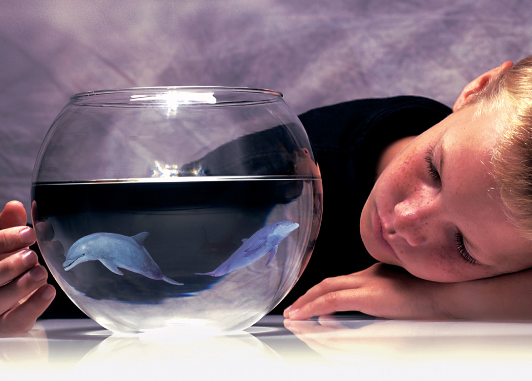 Diseño de Photoshop por fearscythe para DesignCrowd (Community Contests) | Diseño #9133105