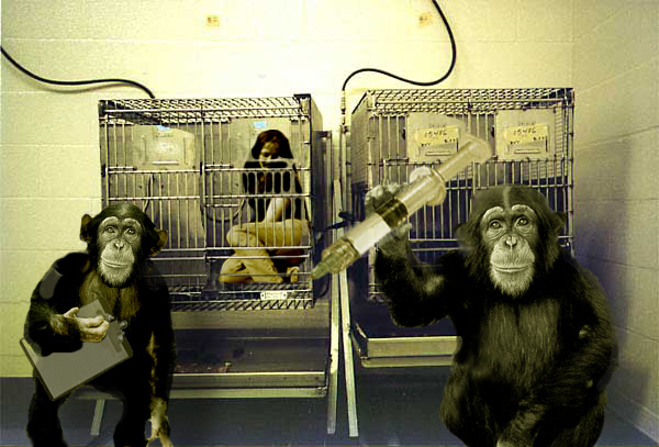 Diseño de Photoshop por froodleydoo para DesignCrowd (Community Contests) | Diseño #9138519