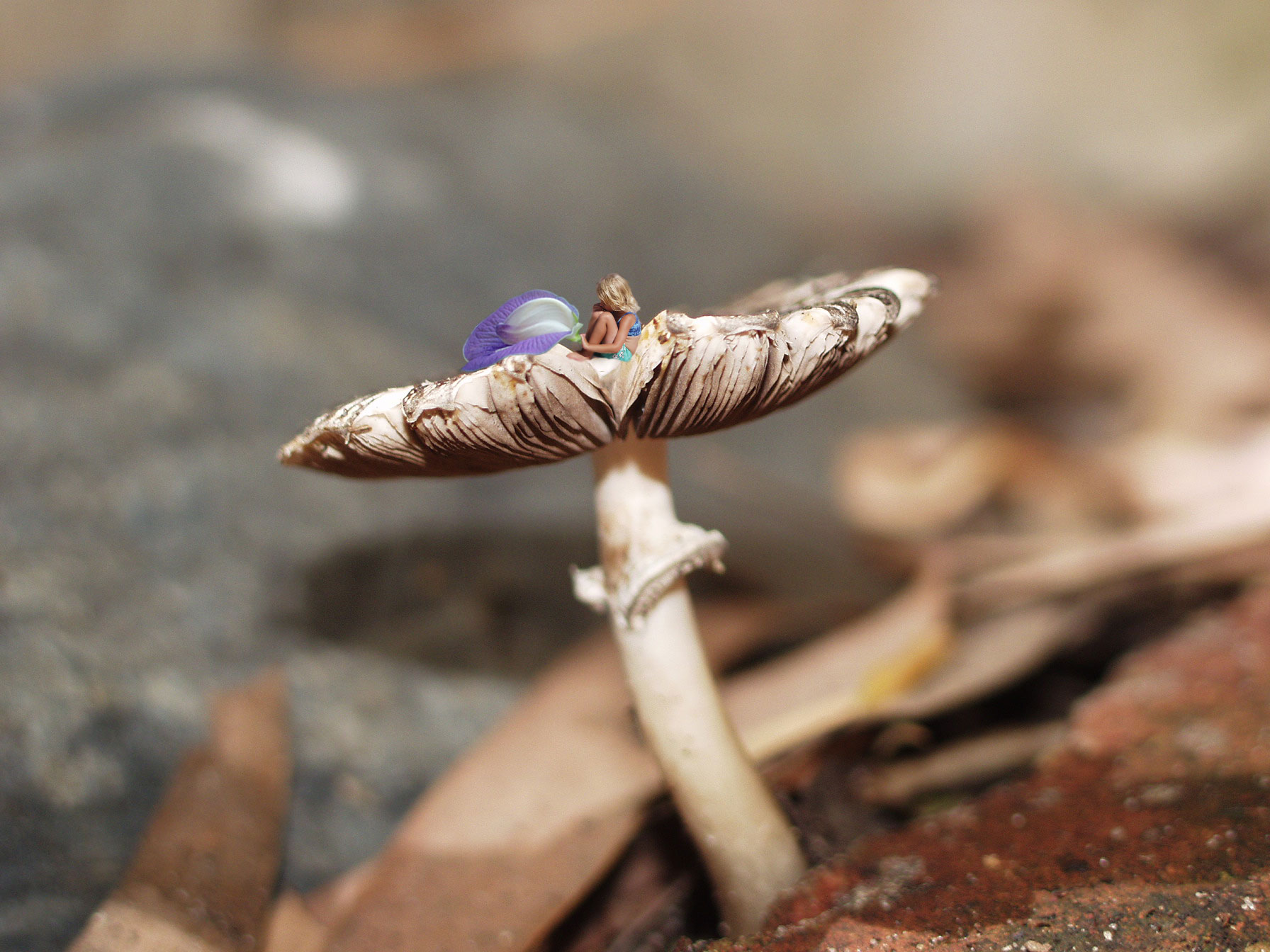 Design Photoshop par sfmsfm pour DesignCrowd (Community Contests) | Design #9133175