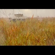 Photoshop Design by DeadElvis