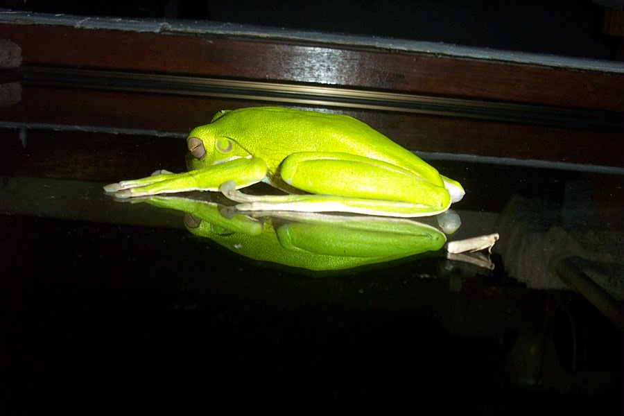 Photographie par sfmsfm pour DesignCrowd (Community Contests) | Design #9130849