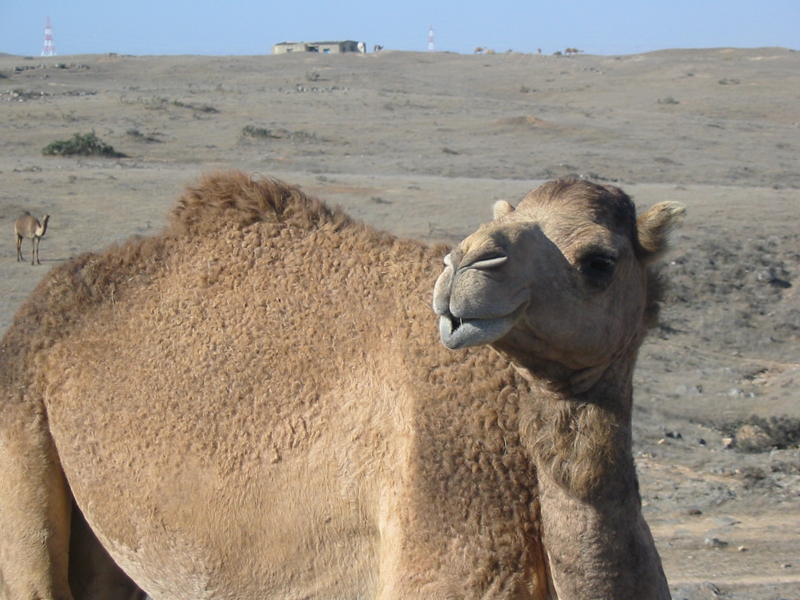 Photography by emandan for DesignCrowd (Community Contests) | Design #9130828