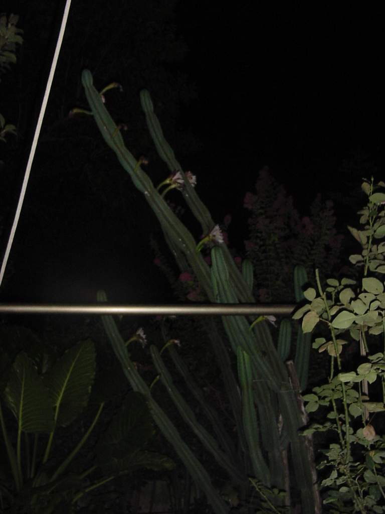 Photographie par ginscambia pour DesignCrowd (Community Contests) | Design #9132135