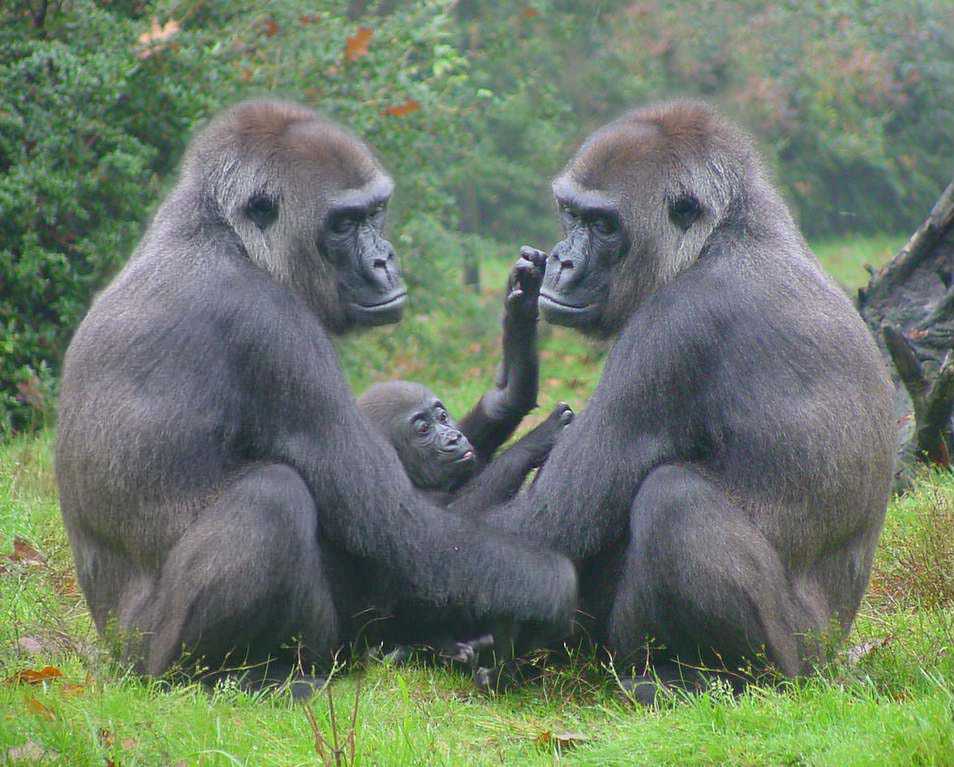 Photoshop Design by whitewhale for DesignCrowd (Community Contests) | Design #9136014