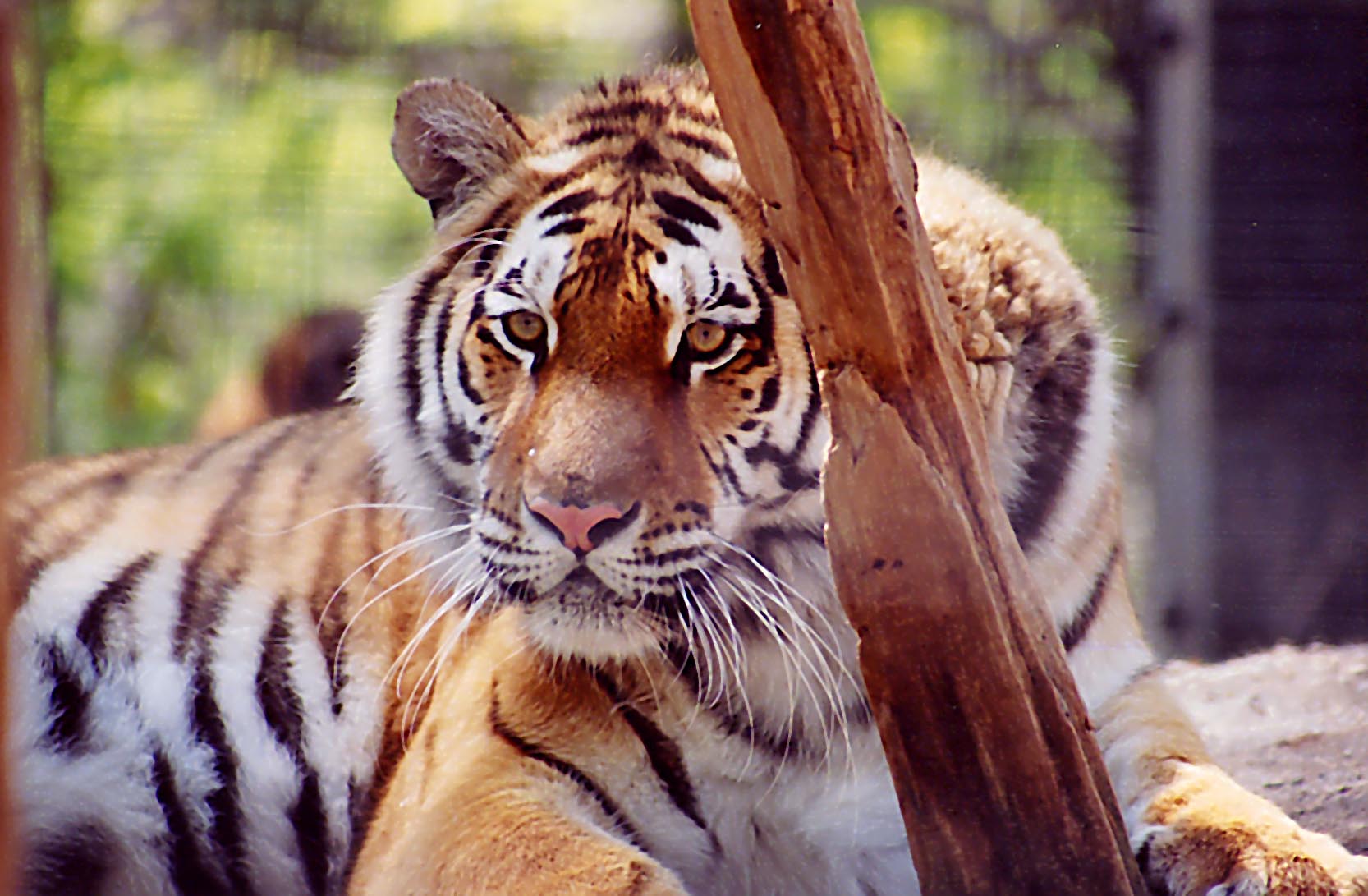 Photography by ALS14213 for DesignCrowd (Community Contests) | Design #9130928