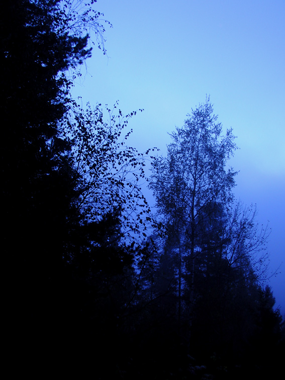 Photographie par traxter pour DesignCrowd (Community Contests) | Design #9132132