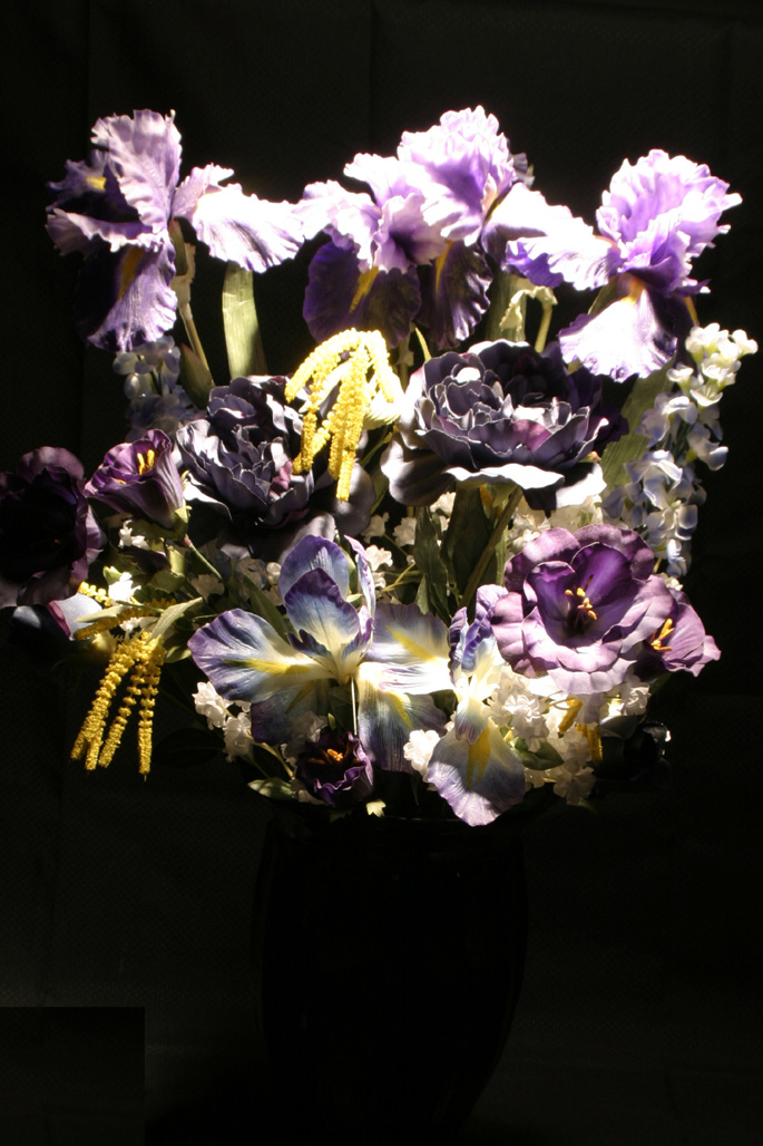 Photography by geno239 for DesignCrowd (Community Contests) | Design #9132109