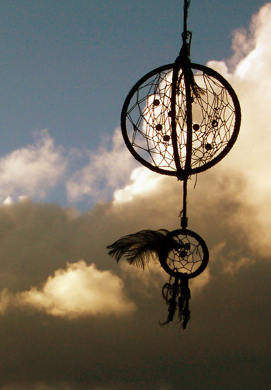 Photography by BronzeWing for DesignCrowd (Community Contests) | Design #9138641