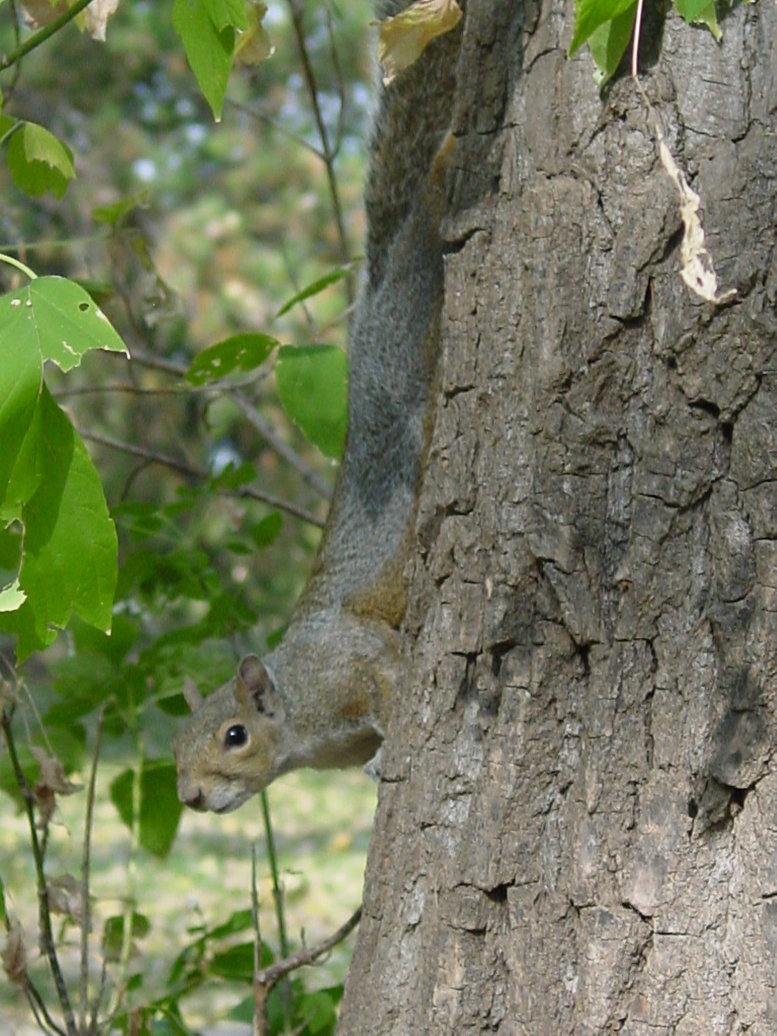 Photography by yusaku for DesignCrowd (Community Contests) | Design #9130902