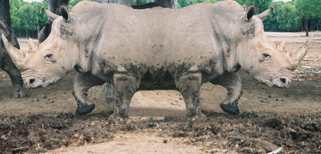 Design Photoshop par sfmsfm pour DesignCrowd (Community Contests) | Design #9136196