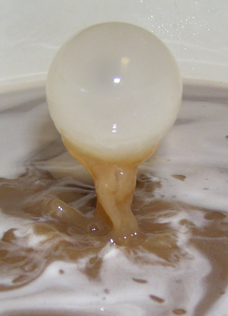 Fotografía por Featherlake para DesignCrowd (Community Contests) | Diseño #9138654