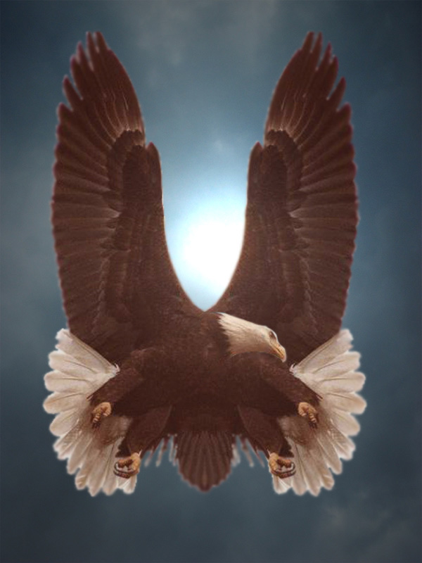Photoshop Design by artblue57 for DesignCrowd (Community Contests) | Design #9136192