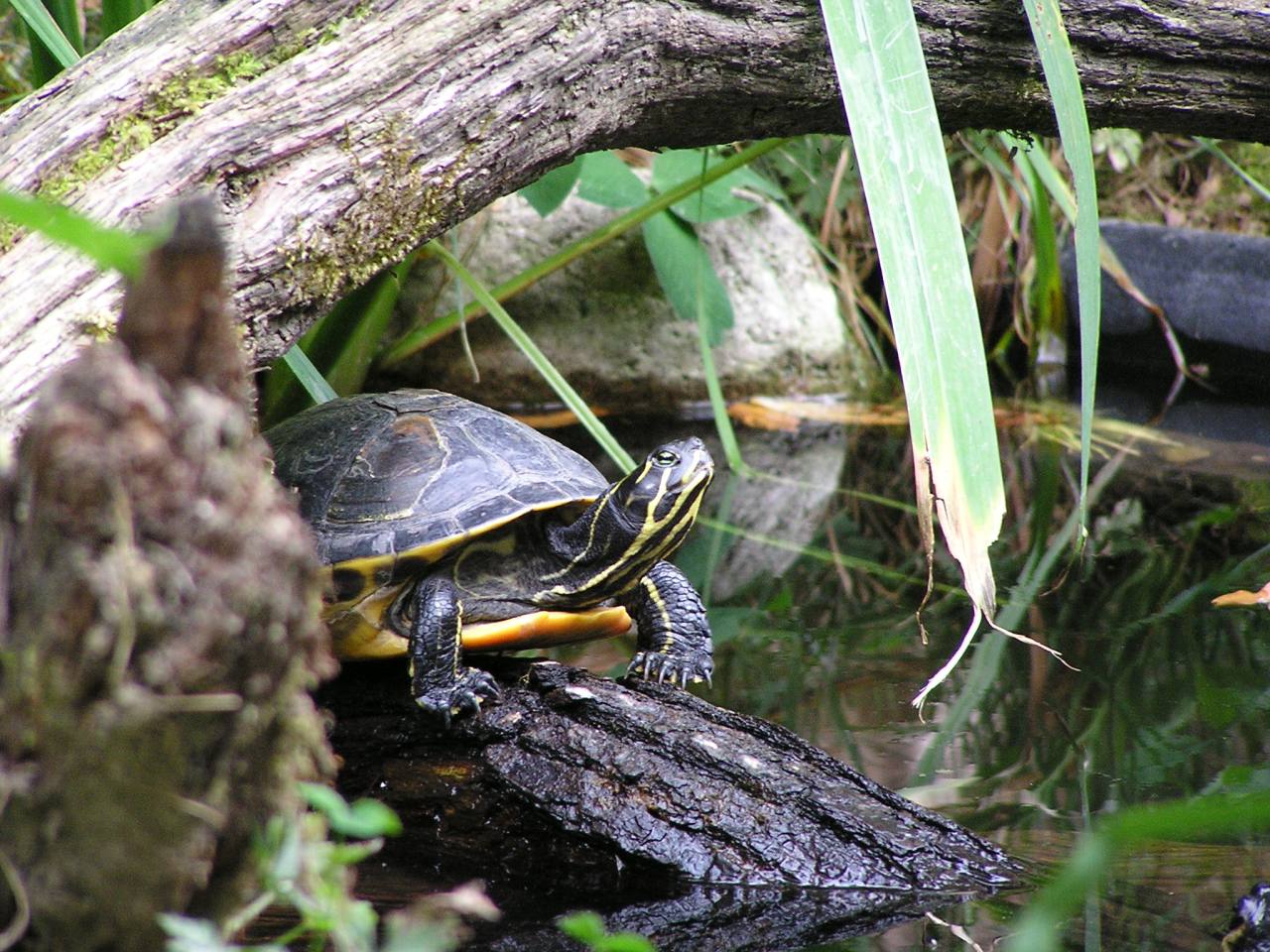 Photography by TyChO for DesignCrowd (Community Contests) | Design #9130954