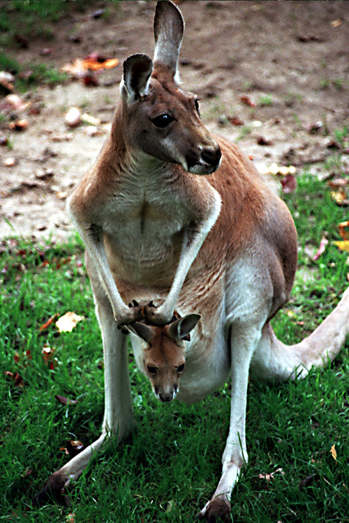 Photography by goblin for DesignCrowd (Community Contests) | Design #9131008