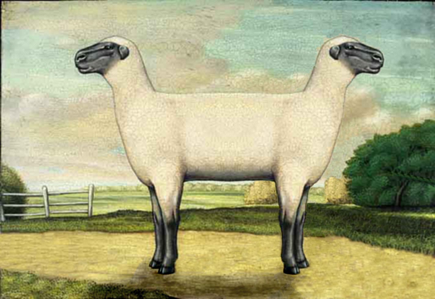 Photoshop Design by exNihilo for DesignCrowd (Community Contests) | Design #9133811