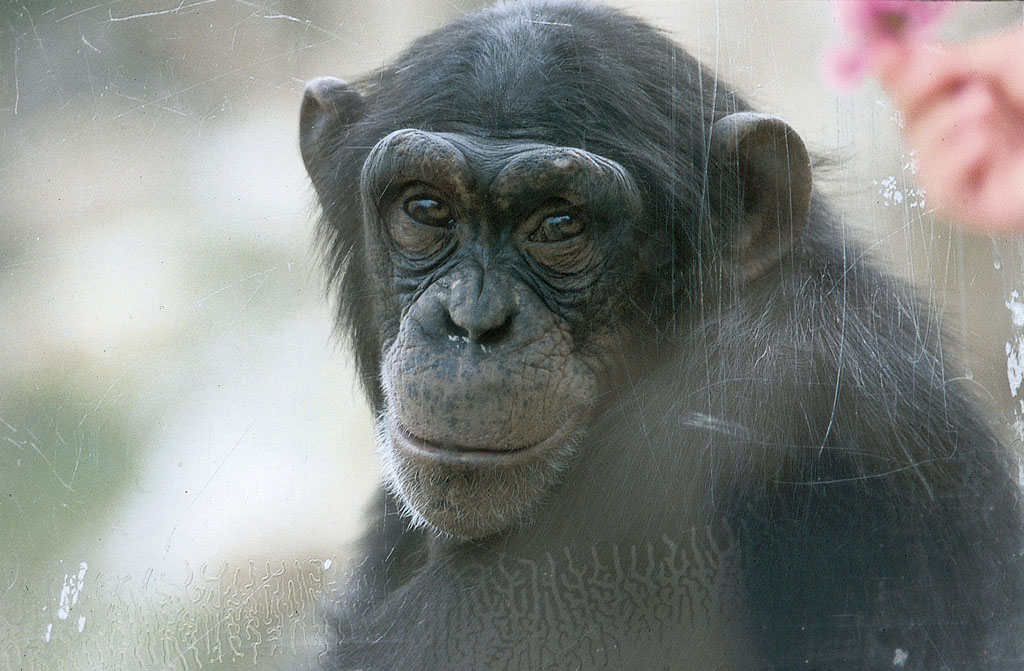 Photography by yoxigen for DesignCrowd (Community Contests) | Design #9131071