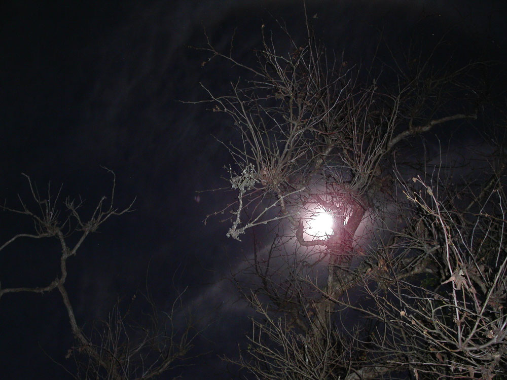 Photography by isaidwhat for DesignCrowd (Community Contests) | Design #9131482