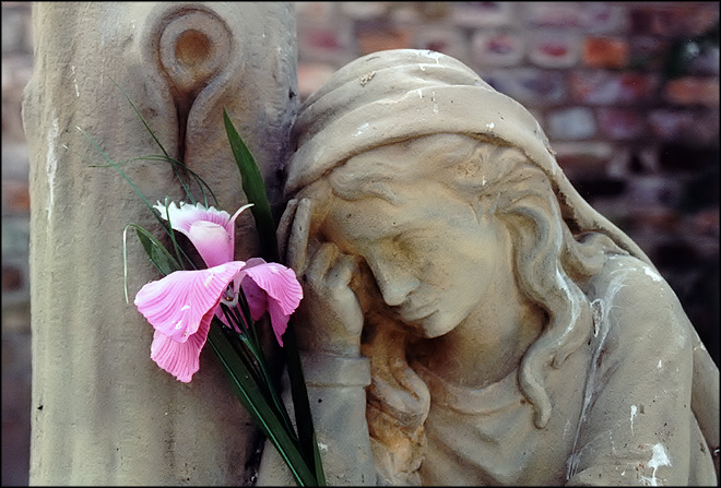 Photography by Jealousy for DesignCrowd (Community Contests) | Design #9138650