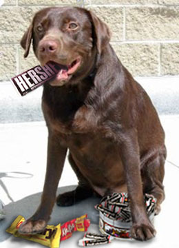 Photoshop Design by rdk for DesignCrowd (Community Contests) | Design #9116089