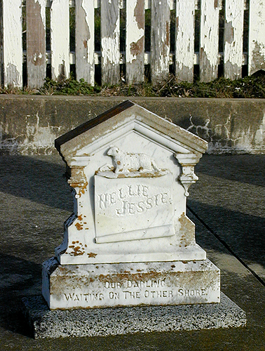 Fotografía por cometgymmom para DesignCrowd (Community Contests) | Diseño #9138669