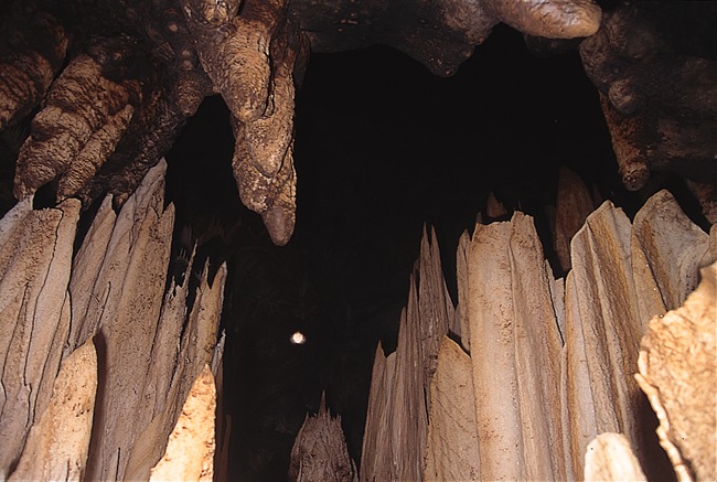 Photographie par Baddinnn pour DesignCrowd (Community Contests) | Design #9131561