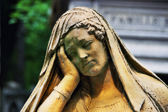 Photography by goblin for DesignCrowd (Community Contests) | Design #9138668