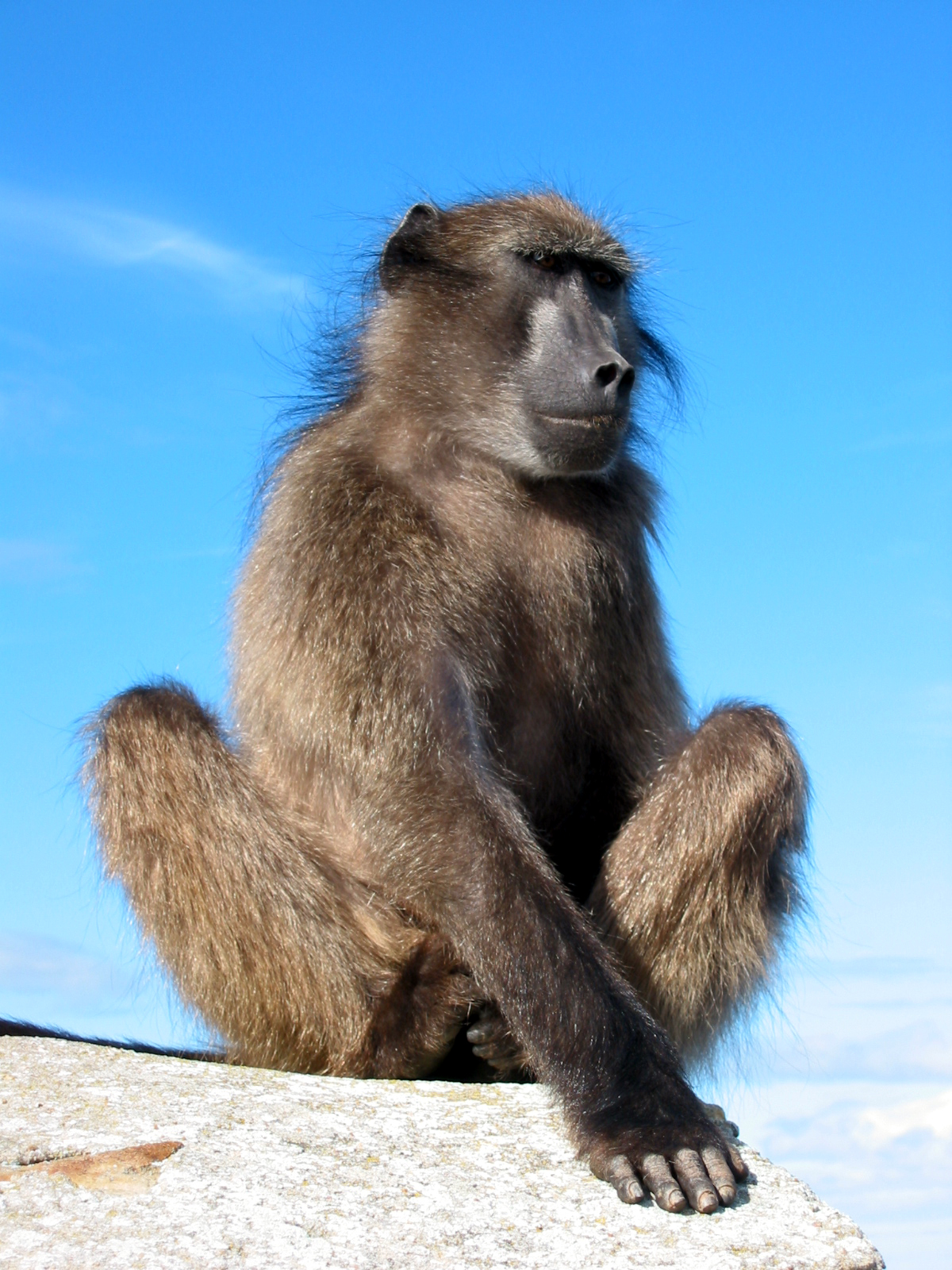 Fotografía por Ankabout para DesignCrowd (Community Contests) | Diseño #9130968