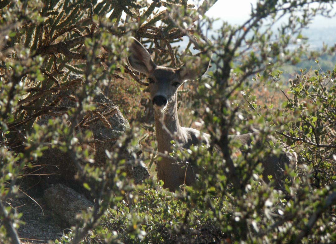 Photography by Vincent for DesignCrowd (Community Contests) | Design #9130951