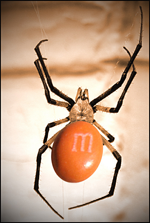 Design Photoshop par paddyjoe pour DesignCrowd (Community Contests) | Design #9116234