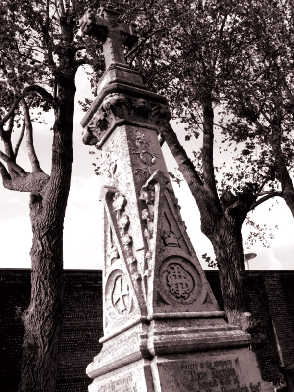 Photography by Trinity-of-One for DesignCrowd (Community Contests) | Design #9138667