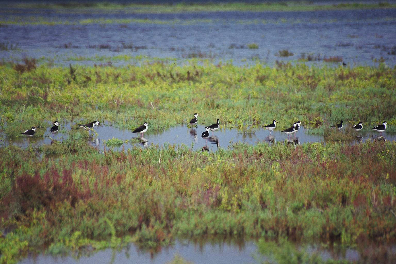 Photography by dkgraphicarts for DesignCrowd (Community Contests) | Design #9131187